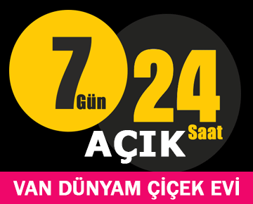 van çiçek siparişi